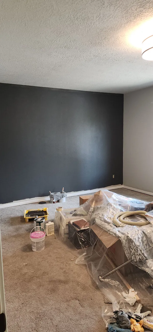 Interior painting project